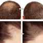 LIMETOW™ Hair Coloring Sponge with Eyebrow Shaper & Brush Free | 🔥 BUY 1 GET 1 FREE 🔥