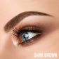 4-Tip Eyebrow Tint